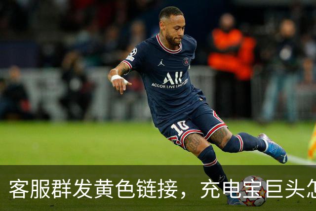 客服群发黄色链接，充电宝巨头怎么了？